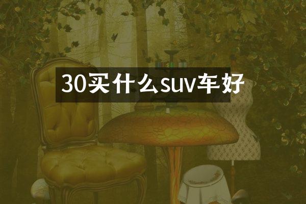30suv车好