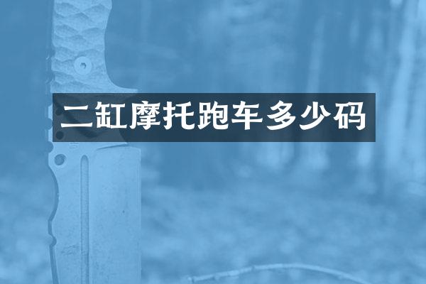 二缸摩托跑车多少码