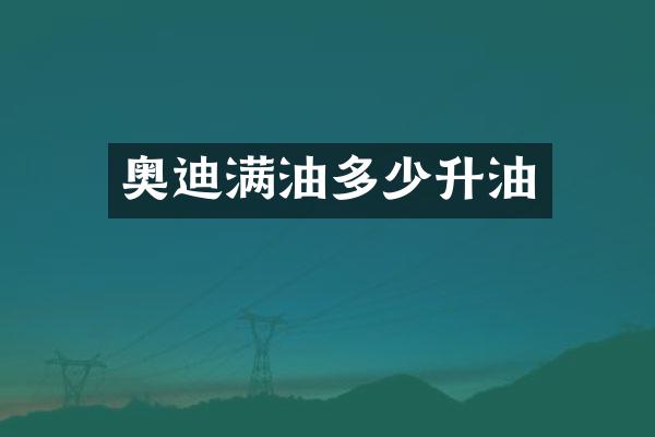 奥迪满油多少升油