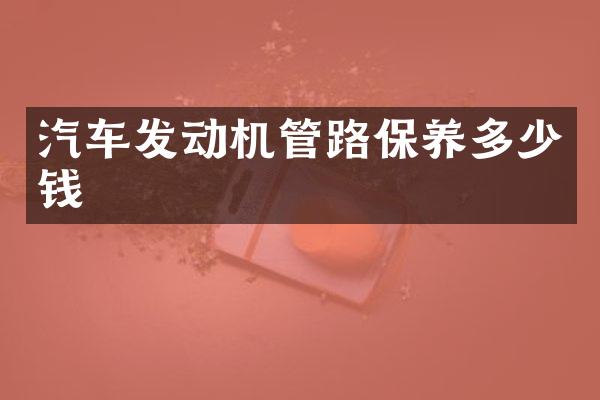 汽车发动机管路保养多少钱
