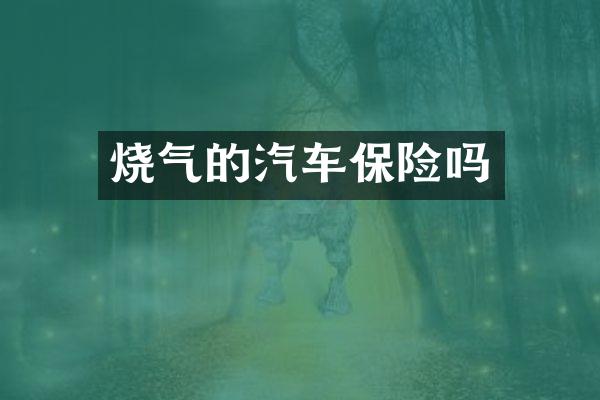 烧气的汽车保险吗
