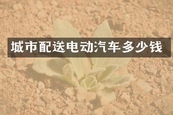 城市配送电动汽车多少钱