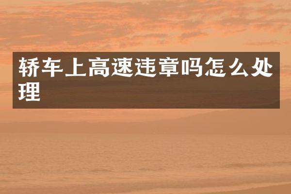 轿车上高速违章吗怎么处理
