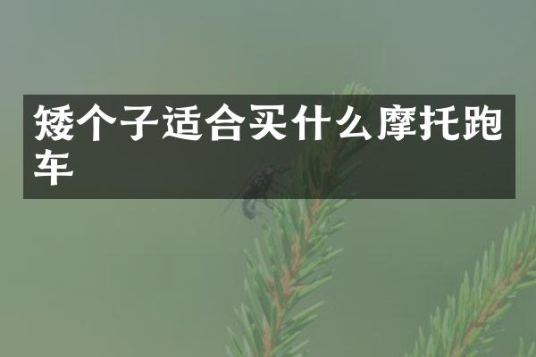 矮个子适合摩托跑车