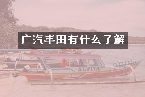 广汽丰田有什么了解