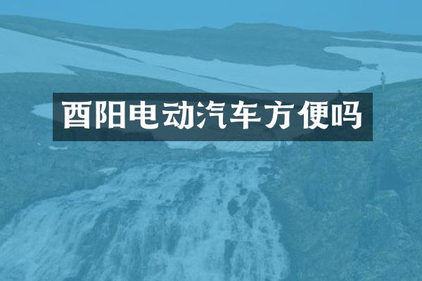 酉阳电动汽车方便吗