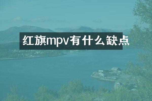 红旗mpv有什么缺点