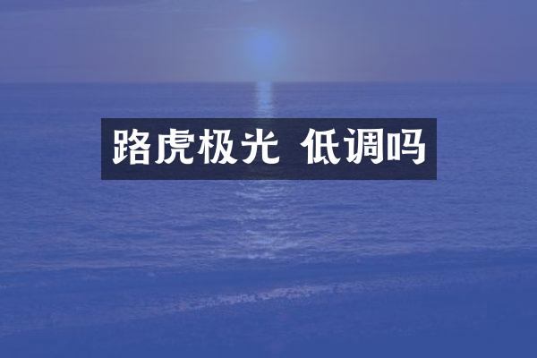 路虎极光 低调吗