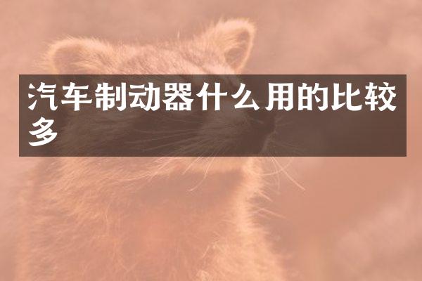 汽车制动器什么用的比较多