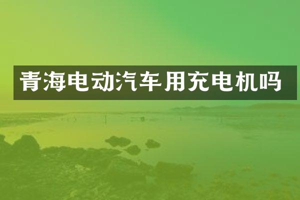 青海电动汽车用充电机吗