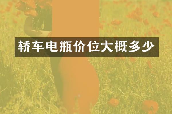 轿车电瓶价位大概多少