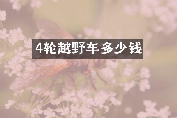 4轮越野车多少钱