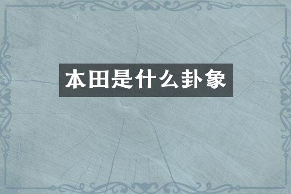 本田是什么卦象