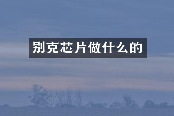 别克芯片做什么的
