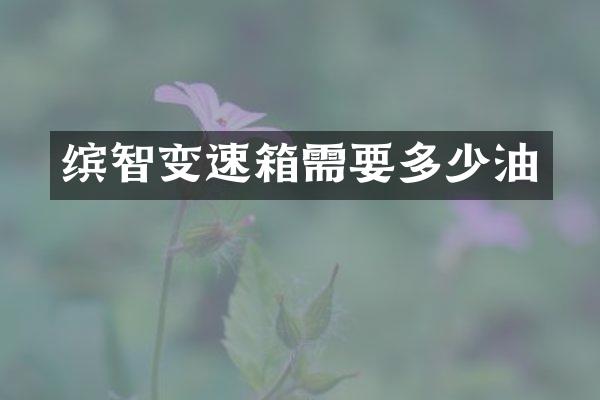 缤智变速箱需要多少油
