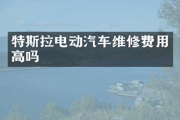 特斯拉电动汽车维修费用高吗