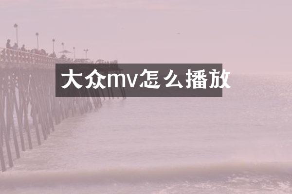大众mv怎么播放