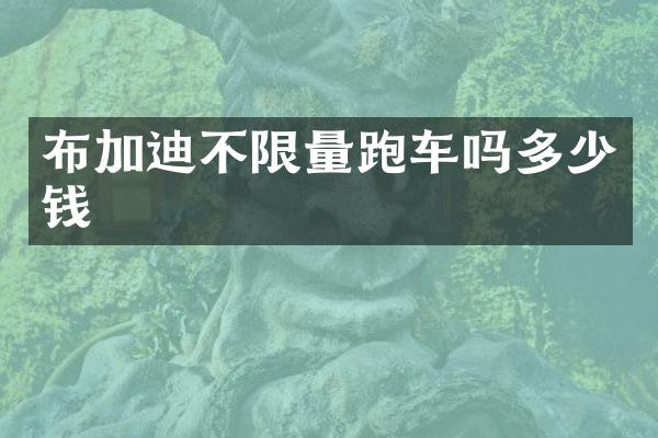 布加迪不限量跑车吗多少钱