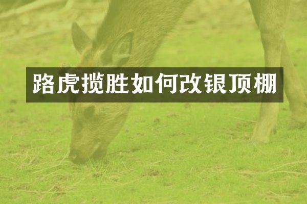路虎揽胜如何改银顶棚