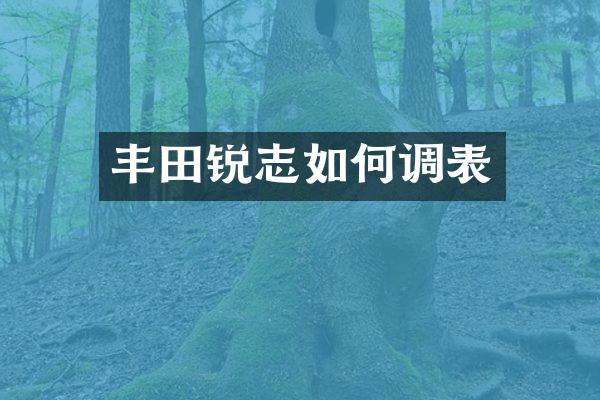 丰田锐志如何调表