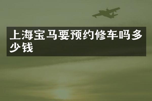 上海宝马要预约修车吗多少钱