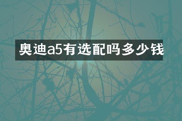 奥迪a5有选配吗多少钱