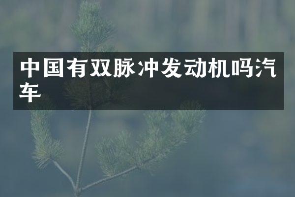 中国有双脉冲发动机吗汽车