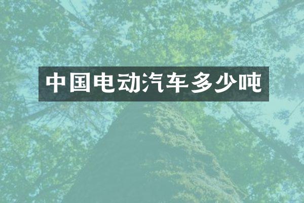 中国电动汽车多少吨