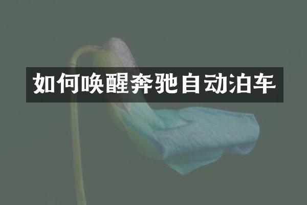 如何唤醒奔驰自动泊车