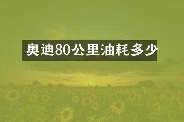 奥迪80公里油耗多少