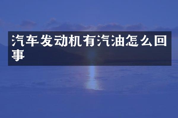 汽车发动机有汽油怎么回事