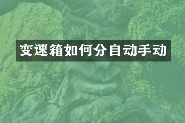 变速箱如何分自动手动