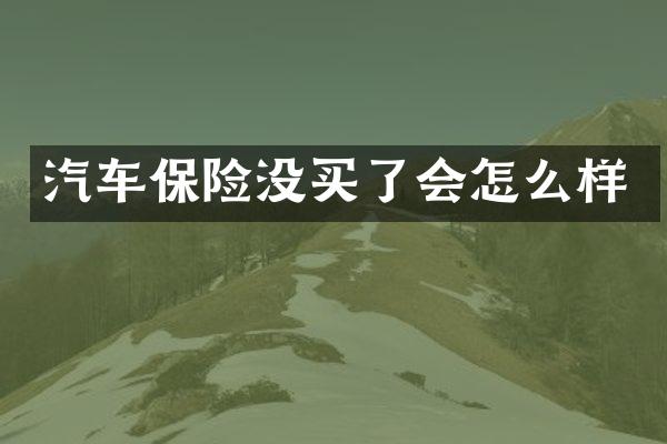 汽车保险没买了会怎么样