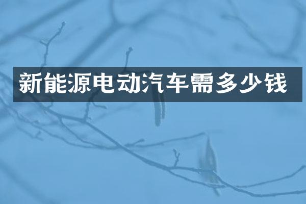新能源电动汽车需多少钱