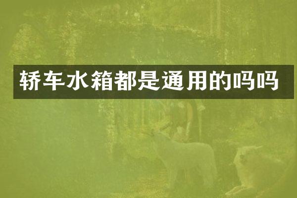 轿车水箱都是通用的吗吗