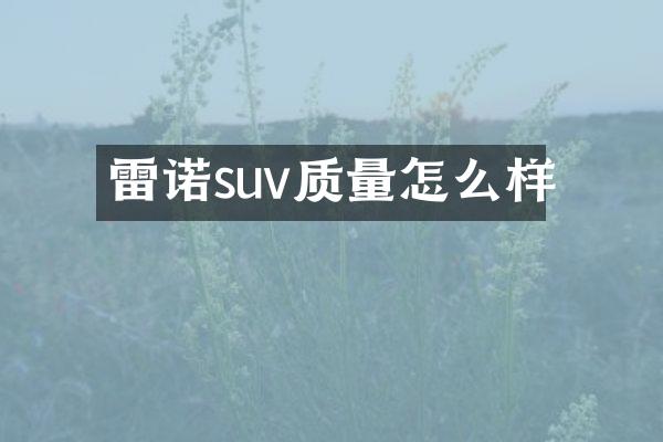 雷诺suv质量怎么样