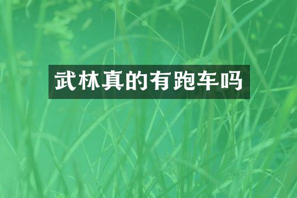 武林真的有跑车吗