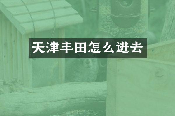 天津丰田怎么进去