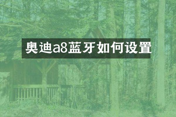 奥迪a8蓝牙如何设置