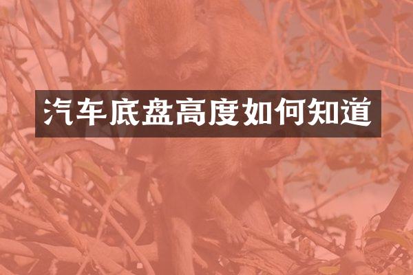 汽车底盘高度如何知道