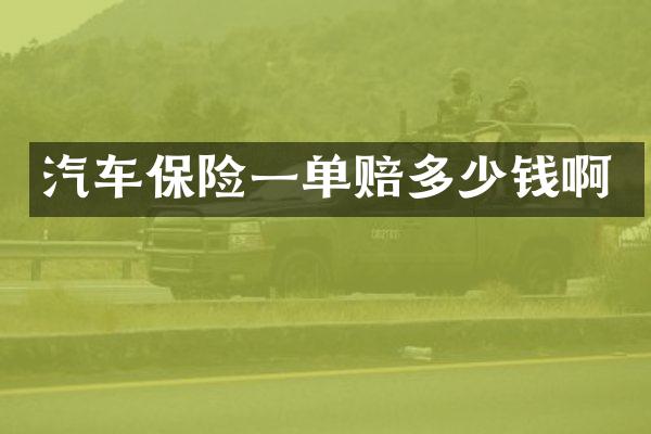 汽车保险一单赔多少钱啊
