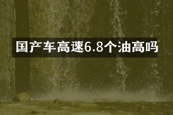 国产车高速6.8个油高吗