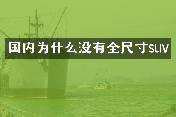 国内为什么没有全尺寸suv