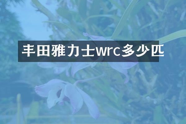 丰田雅力士wrc多少匹