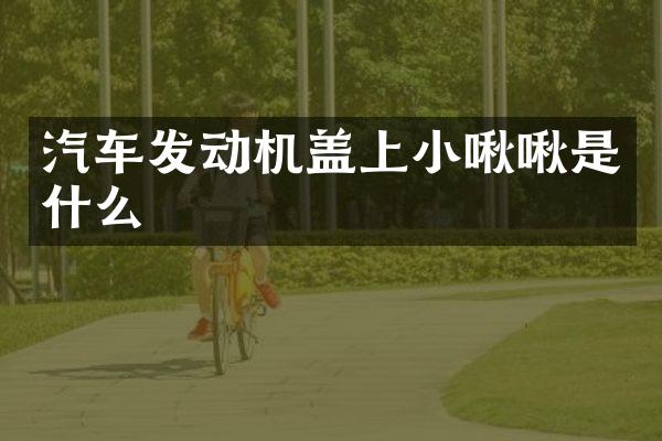 汽车发动机盖上小啾啾是什么