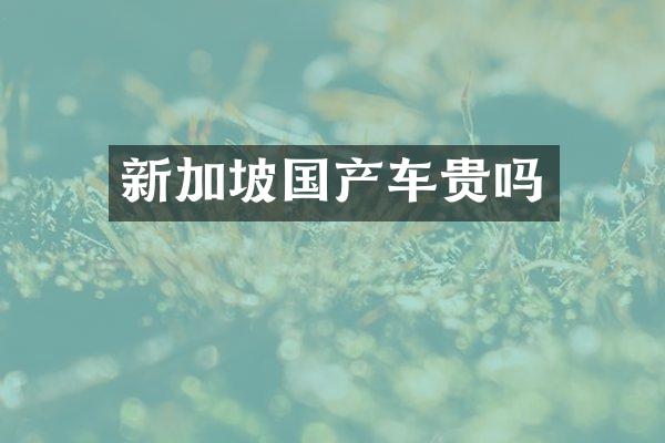 新加坡国产车贵吗