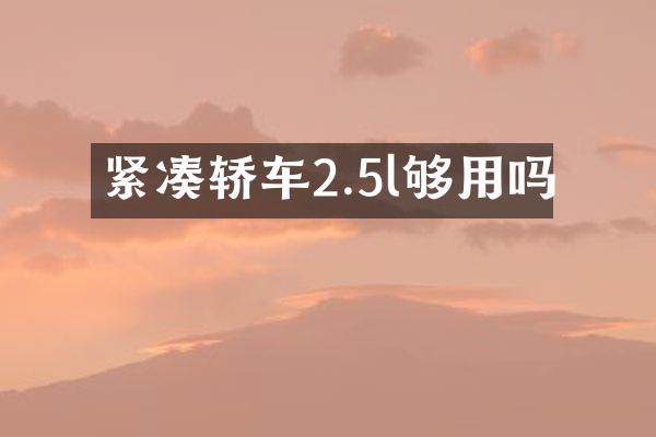 紧凑轿车2.5l够用吗