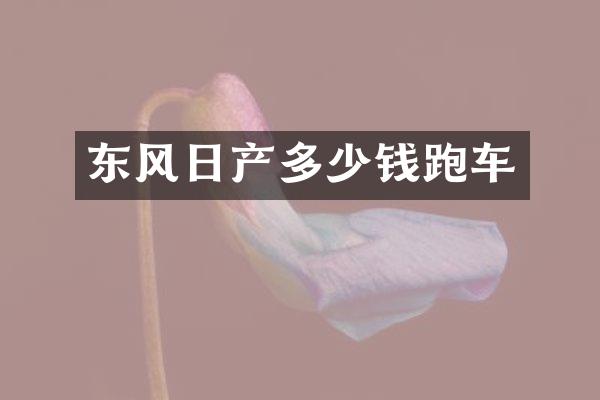 东风日产多少钱跑车