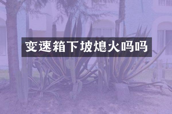 变速箱下坡熄火吗吗