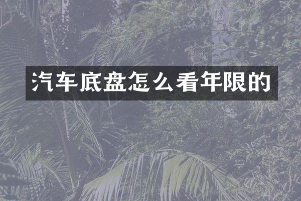 汽车底盘怎么看年限的